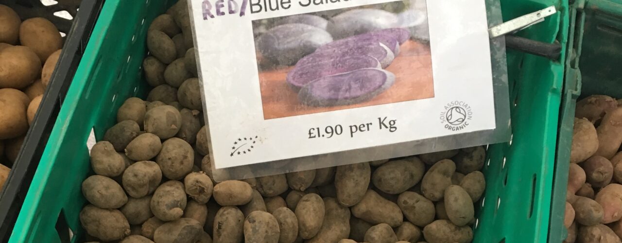 Organic Potatoes photo